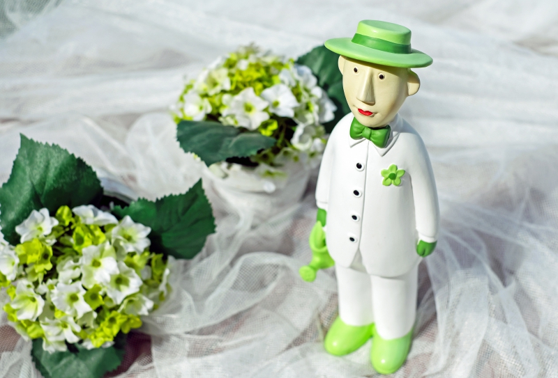 vitrine-LA SEYNE SUR MER-min_man-person-flower-green-toy-fig-546529-pxhere.com